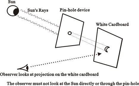 Figure 1  Projection of solar eclipse image onto a cardboard