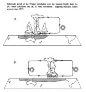 El Nino and Asian Climate - Fig 2