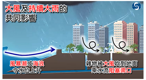 热带气旋可以带来强风、大雨、风暴潮、海浪等恶劣天气并产生显著共同影响