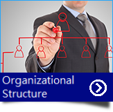 Organizational Structure