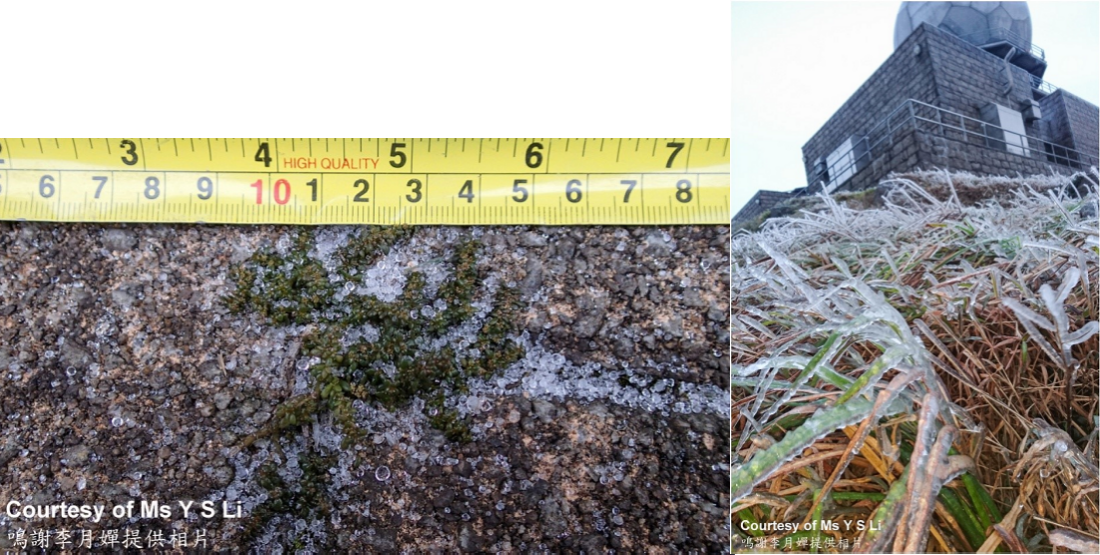 Ice pellets (left) and icing (right) observed at Tai Mo Shan Radar Station on 24 January 2016.