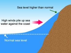 Figure 1     Rise of sea water due to the storm's strong winds