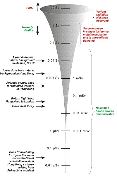 Figure 2     Schematic scale illustrating the radiation dose from different origins and their potential health effects[2].