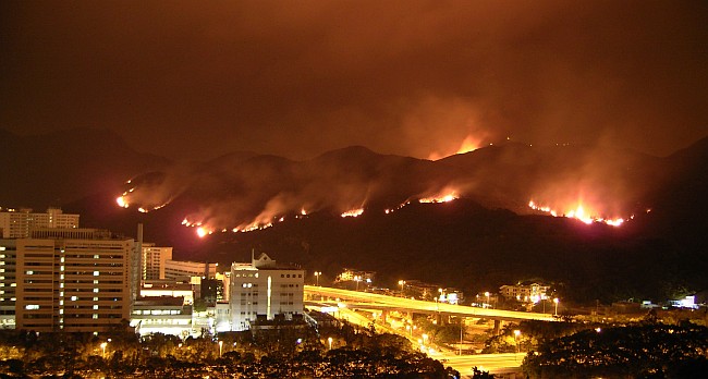 Hill fire near Kwong Yuen Estate on 17 February 2008 with a fire area of 5,000 square meters. (Photo courtesy of Mr Chan Wai Kwong)