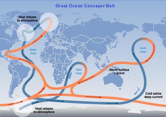 simpified illustration of the Great Ocean Conveyor Belt
