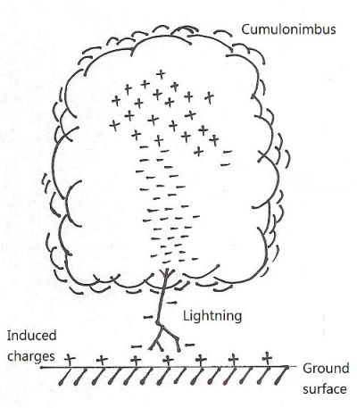 figure1