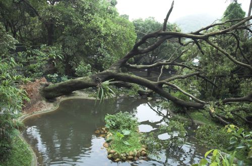 Kadoorie Farm and Botanic Garden