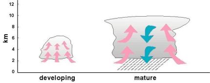 Development into a cumulonimbus cloud