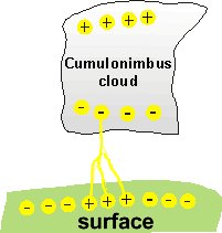 Distribution of positive and negative charges inside a cumulonimbus cloud