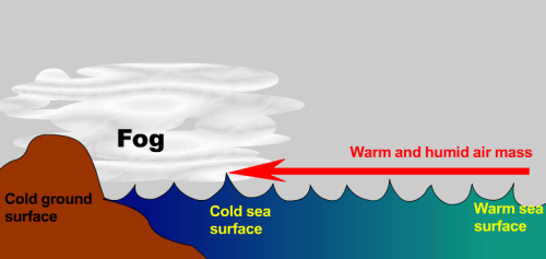 Schematic diagram showing formation of fog in Hong Kong during springtime