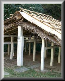 Thermometer Shed