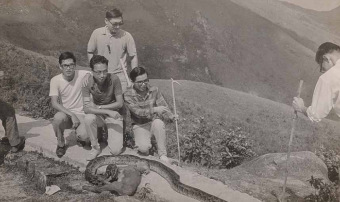 Observatory staff working in the countryside