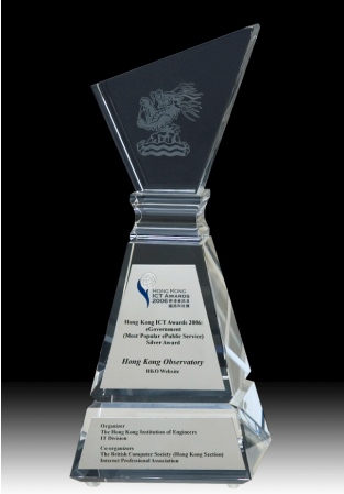 The eGovernment - Most Popular ePublic Service Silver Award