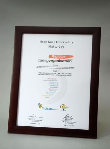 The Caring Organization Award Plaque