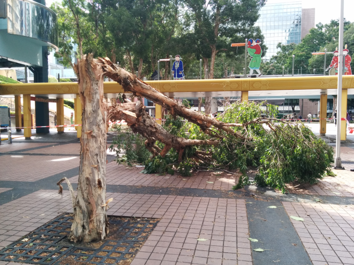 Tsim Sha Tsui East