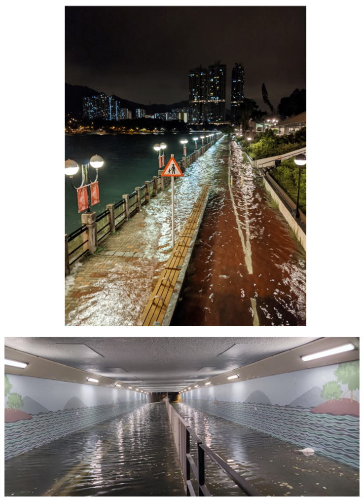 Flooding of Shing Mun River due to storm surge induced by Kompasu on the early morning of 13 October 2021 (Courtesy of Poon Chi Ming (top) and Hiu Cheng Chow (bottom))