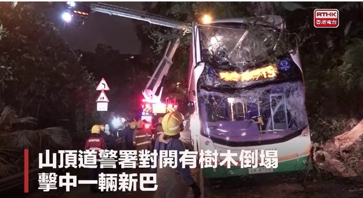 山頂道有大樹倒塌，擊中一輛巴士(圖片由香港電台提供)。