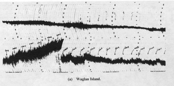 Anemograms during the passage of Typhoon Ellen