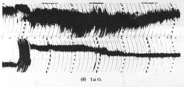 Anemograms during the passage of Typhoon Ellen