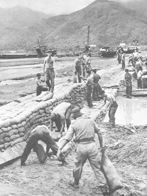 Repairing the sea wall at Sha Tin