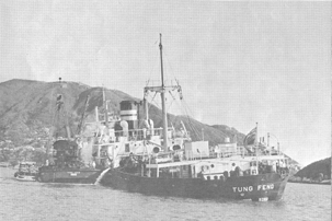 The TUNG FENG sank off the north of Green Island