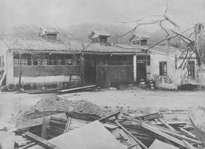 Ventilators along the roof of this building near Sha Tin may have helped to prevent damage to the roof