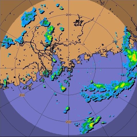 Radar echoes captured at 5:00 a.m. on 11 June 2011.
