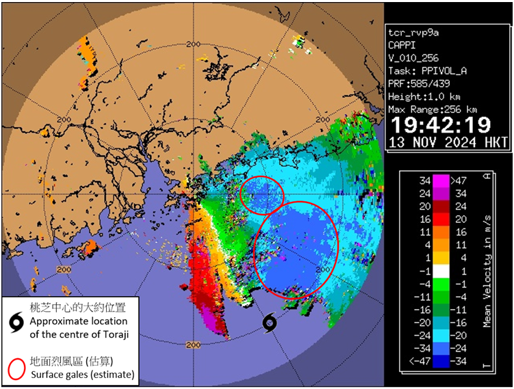 Radar imagery showing the Doppler velocity at around 7:42 p.m. on 13 November 2024. The image revealed the radial winds at around 1 km (i.e. the velocity of rain echoes relative to the radar, and positive (negative) values indicates rain echoes moving away from (towards) the radar). The image showed that the surface gale winds to the north of Toraji was rather close to Hong Kong. When Toraji was moving west or west-northwest, its associated gale force winds was expected to pose a threat to the territory.