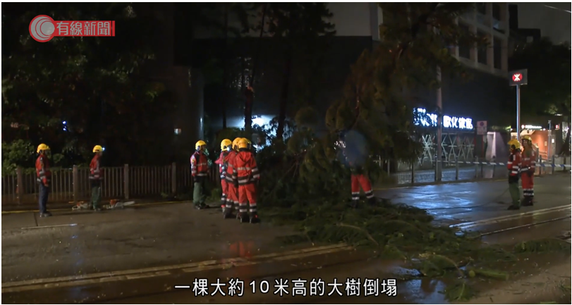 A large tree fell at a section of King's Road near Hing Fat Street, Tin Hau. (Courtesy of i-CABLE News).