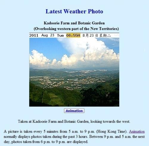 Figure 2: Real-time weather photo of the western part of the New Territories