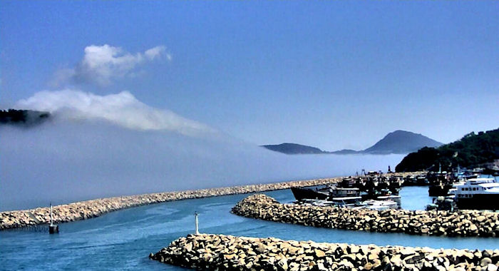 Sea fog near Lei Yue Mun captured by the weather camera at the Sai Wan Ho Marine Police Regional Headquarters.