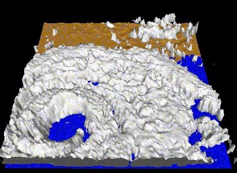 3-dimensional radar echoes captured at 1:00 a.m. on 24 July 2012.