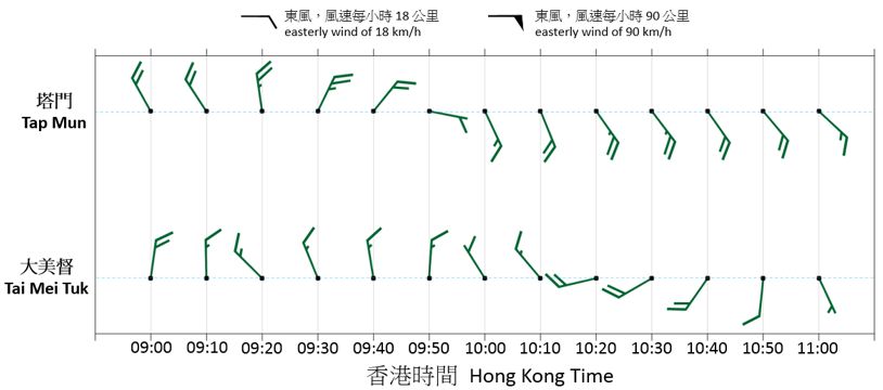 10-minute mean wind direction and speed recorded at Tap Mun and Tai Mei Tuk between 9 a.m. to 11 a.m. on 23 July 2017. When Roke moved across the northeastern part of Hong Kong, wind direction in Tap Mun shifted in a clockwise direction while that in Tai Mei Tuk turned anti-clockwise.