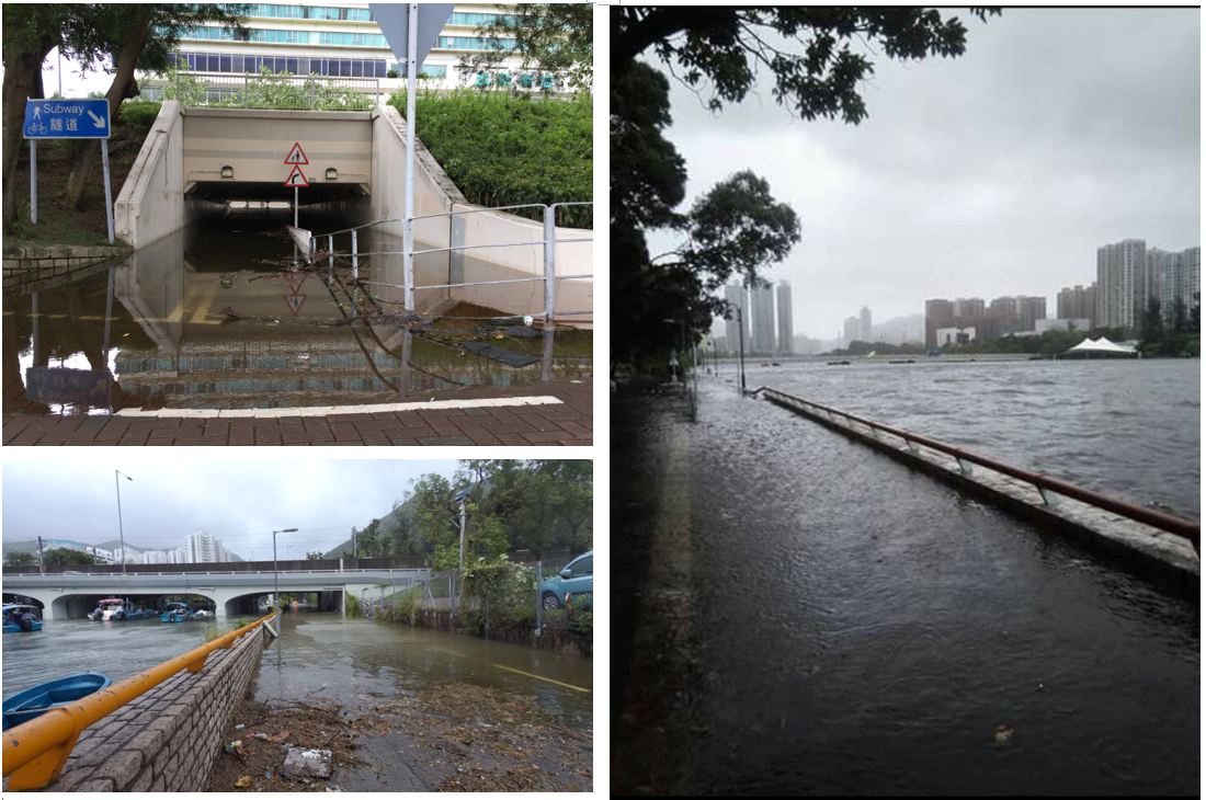 The cycle tracks and subways near Shing Mun River in Sha Tin and coastal area of Tolo Harbour were flooded. (Photos courtesy of Toni Fung and Daisy Ho from Community Weather Observation Scheme, Howl Ho)