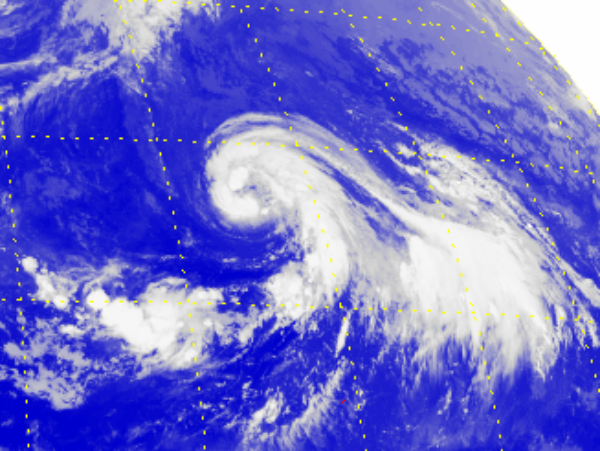 熱帶風暴尼格的衛星圖片 