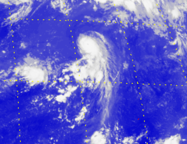 強颱風榕樹的衛星圖片 