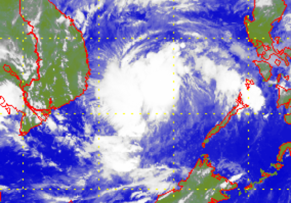 熱帶風暴鴻雁的衛星圖片 