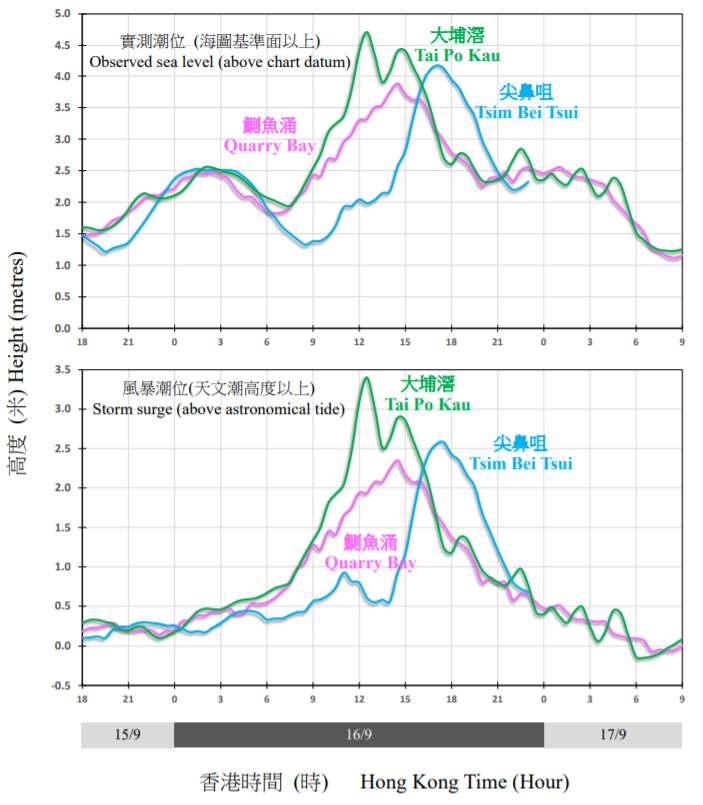 Traces of sea level and storm surge recorded at Quarry Bay, Tai Po Kau, and Tsim Bei Tsui on 16 September 2018.