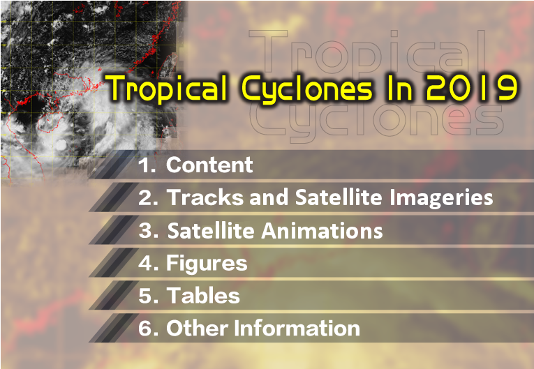 TROPICAL CYCLONES IN 2019