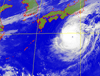 Typhoon Saola