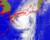 Severe Tropical Storm Man-yi (1318)