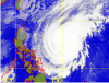 Typhoon Dolphin