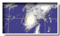 Typhoon Hagibis(0203)