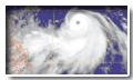 Typhoon Halong(0207)
