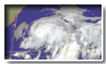 Typhoon Noguri(0204)