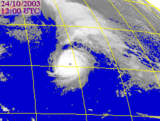 Satellite picture of Typhoon Parma