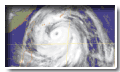 Typhoon Rammasun(0205)