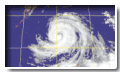 Typhoon Rusa(0215)