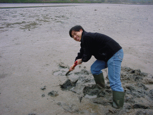 To collect samples of inter-tidal sediments
