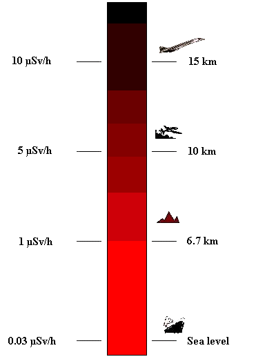 Doses absorbed under different conditions